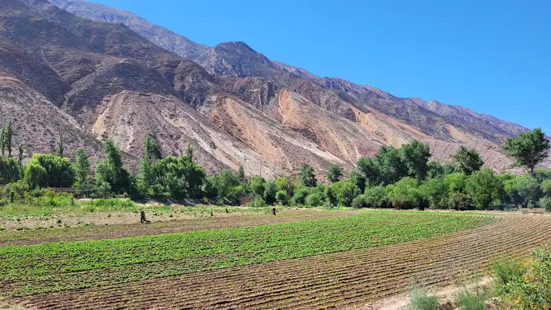 Campo de cultivo recién arado al pie de los cerros de colores de Maimará